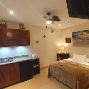  Apartment Coralito Malecon Luxury Mexico